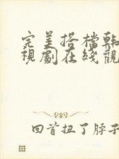 完美搭档韩剧电视剧在线观看