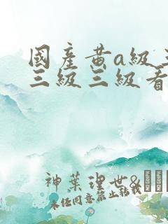 国产黄a级三级三级三级看三级