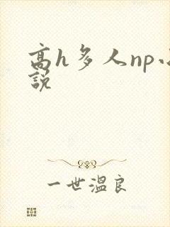 高h多人np小说