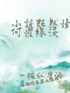 小说既然情深,何惧缘浅