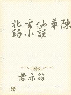 北玄仙尊陈北玄的小说