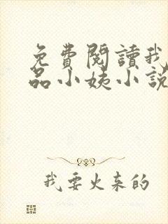 免费阅读我的极品小姨小说