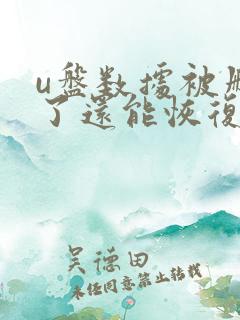 u盘数据被删除了还能恢复吗