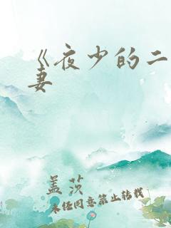 《夜少的二婚新妻