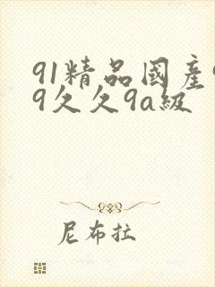 91精品国产99久久9a级