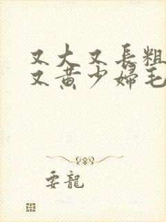 又大又长粗又爽又黄少妇毛片