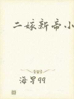 二嫁新帝小说