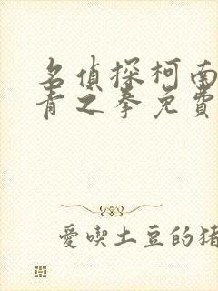 名侦探柯南之绀青之拳免费国语版