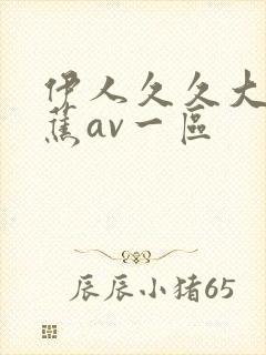 伊人久久大香线蕉av一区