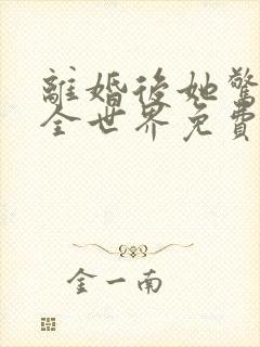 离婚后她惊艳了全世界免费阅读全文