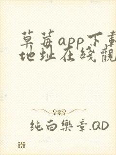 草莓app下载地址在线观看视频