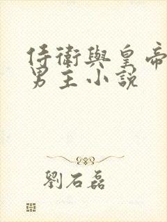 侍卫与皇帝的双男主小说