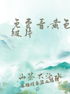 免费看,黄色一级片