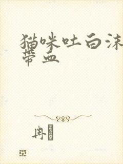 猫咪吐白沫拉稀带血