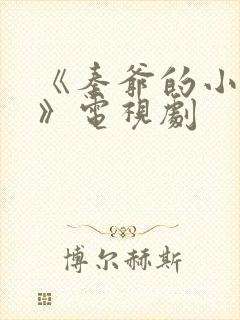 《秦爷的小哑巴》电视剧