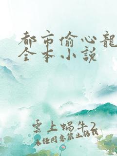都市偷心龙爪手全本小说