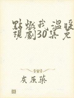 点燃我温暖你电视剧30集免费观看