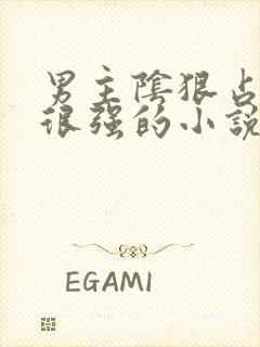 男主阴狠占有欲很强的小说现