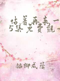 站着再来一次25集免费观看