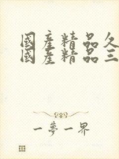 国产精品久久久国产精品三级