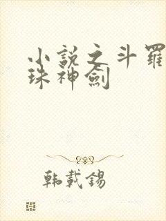 小说之斗罗之灵珠神剑