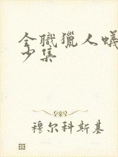 全职猎人蚁王多少集