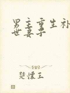 男主重生补偿前世妻子