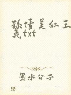 孙倩美红王申高义txt