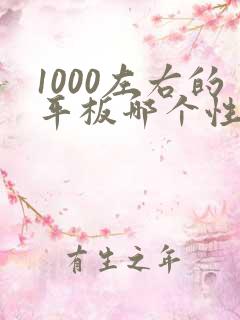 1000左右的平板哪个性价比高画画