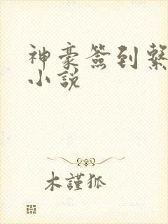 神豪签到系统类小说