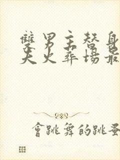 双男主替身文追夫火葬场最好看