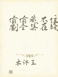 偷偷藏不住电视剧全集在线免费观看