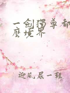 一剑独尊都有什么境界