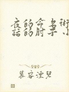 夜的命名术会说话的肘子 小说