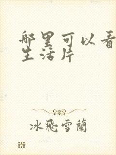 哪里可以看成人生活片