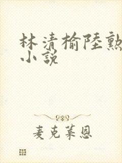 林清榆陆勋什么小说