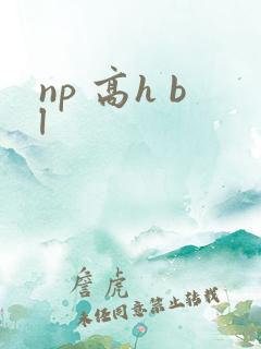 np 高h bl