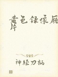 黄色录像厅一级片