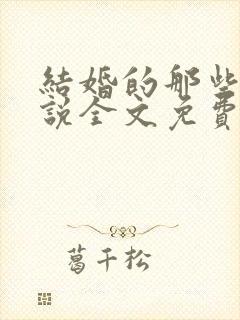 结婚的那些事小说全文免费阅读