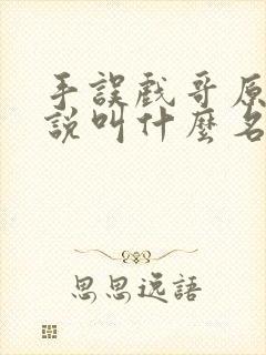 手误戏哥原著小说叫什么名字