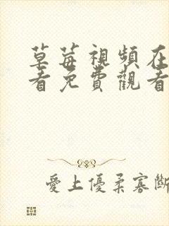 草莓视频在线观看免费观看