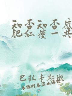 知否知否应是绿肥红瘦一共多少集