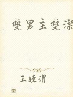 双男主双洁调教