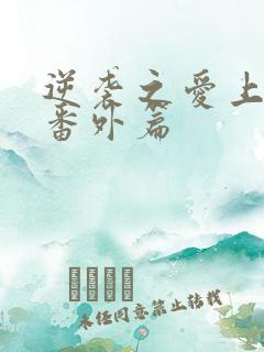 逆袭之爱上情敌番外篇