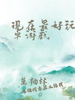 现在最好玩的安卓游戏