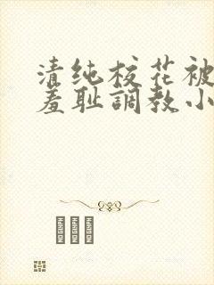 清纯校花被民工羞耻调教小说