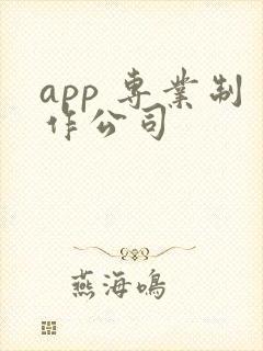 app 专业制作公司