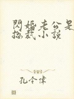 闪婚老公是亿万总裁小说