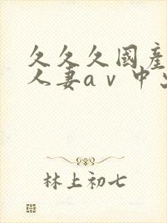 久久久国产精品人妻aⅴ中出