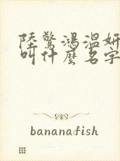 陆惊鸿温妍小说叫什么名字啊